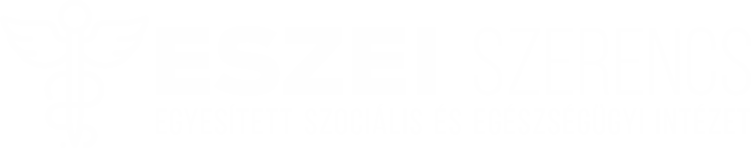 Egyesített Szociális és Egészségügyi Intézet, Szerencs